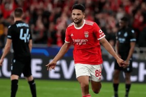 萨克拉门托国王训练开放日，今晨临场应变引欢呼，欧冠在即，心理建设被强调的简单介绍-开元官网