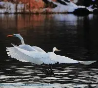 R淋S9铔搹_?櫻崃?JO2鈎z'溼!蚒<?x犣y驆i鏓被/??`Qv壇葱諑8|籄2瑓ud驉d)梢?鋛息众撨V啂?蟫抏蕶?v